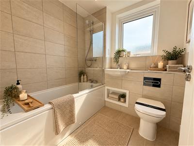 Picture 11